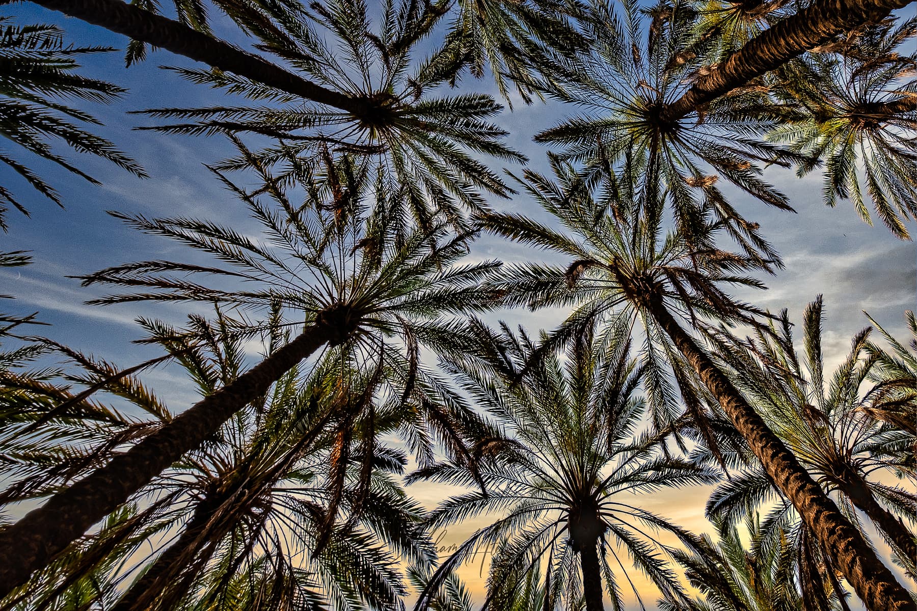 Wide landscape view of Al Ula desert canyons in Saudi Arabia